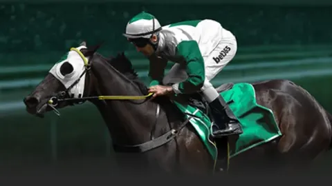 2025年Google全球搜索热度：美洲杯夺冠，奥运排名第九